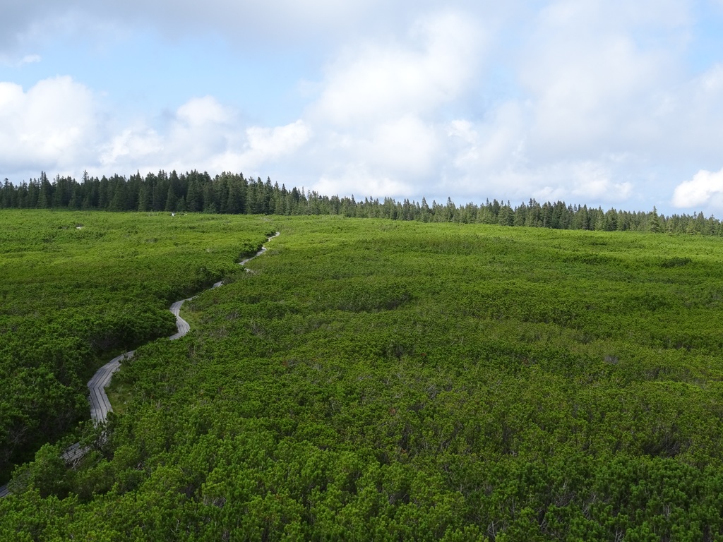 Slovenska planinska pot