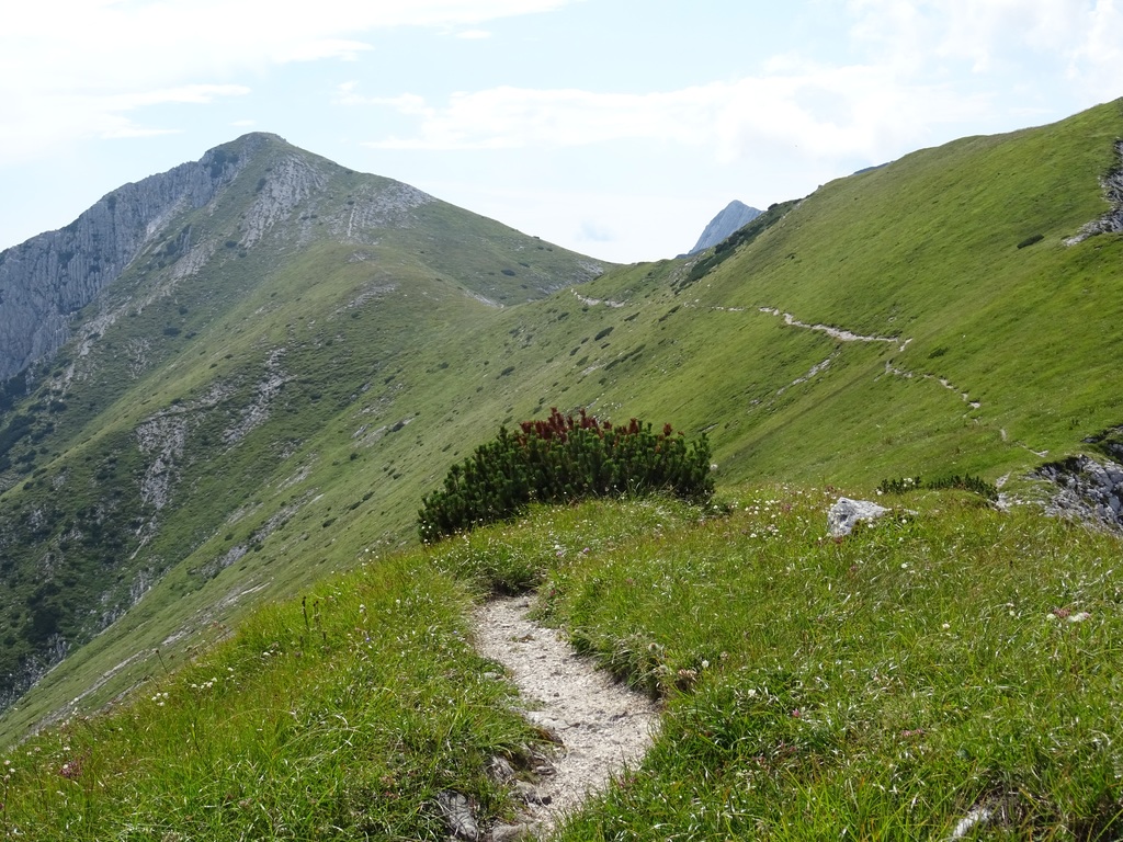 Slovenska planinska pot