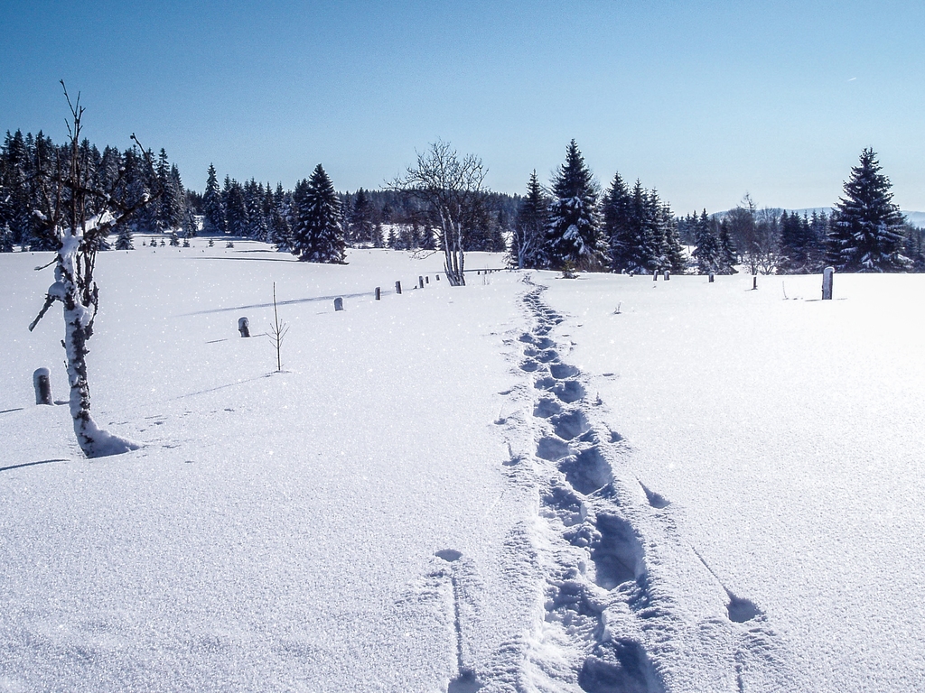 Neprošlápnutá, překrásná a namáhavá cesta na Knížecí Pláně