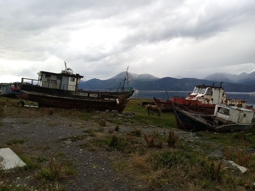 Puerto Williams