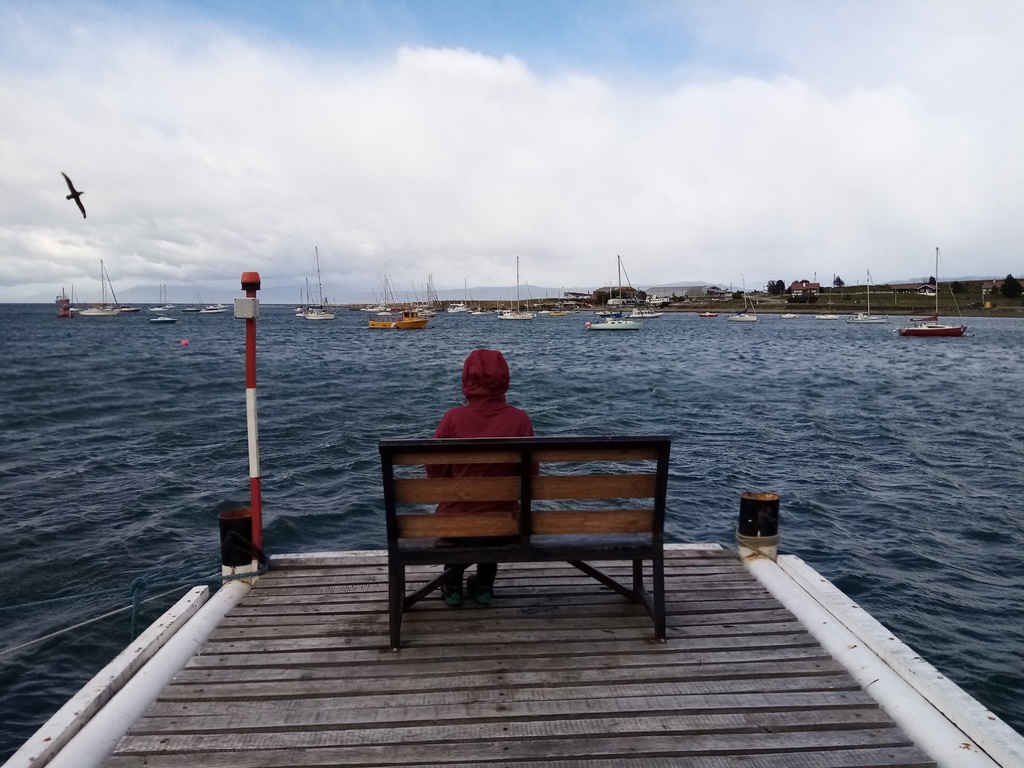 Kormoráni, lodě a v dálce Isla Navariho – to je Ushuaia