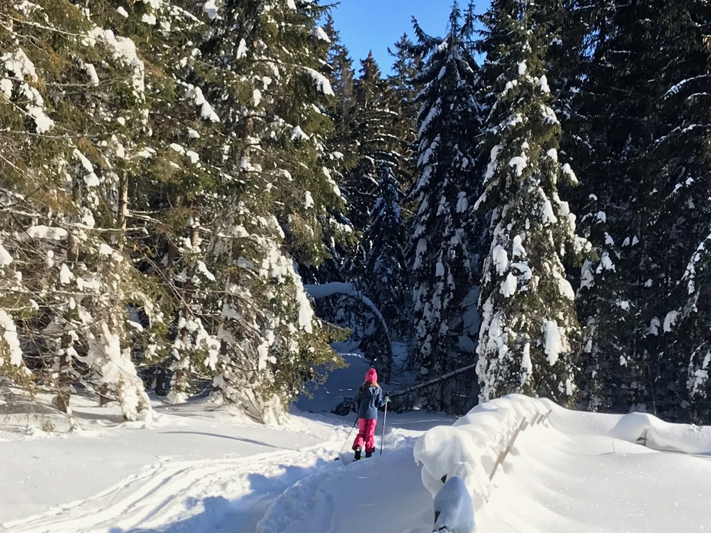 skialp s dětmi, cestou na šumavský Pancíř