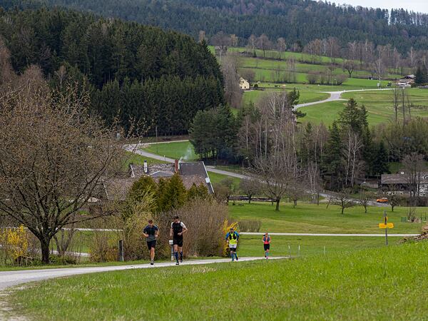 Rock Point napříč Novohradskými horami - Dlouhé stoupání na Nebelstein vedlo nejdřív po silnici a pak lesním trailem