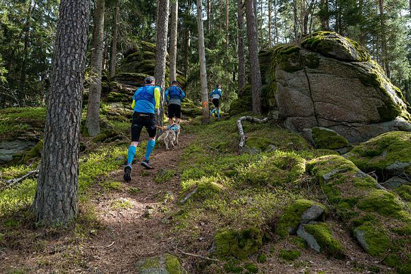 Rock Point výzva napříč Novohradskými horami - Červená turistická značka nás vede přes Cikánský vrch (830 m) dalším krásným trailem