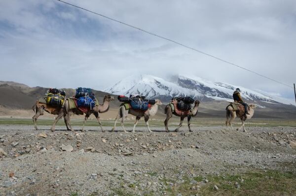 Jde se na Muztagh Ata 7 546 m n. m.