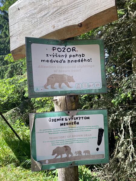 Nízké Tatry - pozor, zvýšený výskyt medvěda hnědého