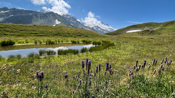 Během celé Tour du Mont Blanc nás obklopovaly překrásné scenérie